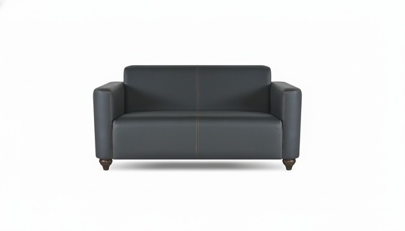 Sofa 2-Sitzer Schwarz Einfarbig Modern Design Arbeitszimmer Wohnzimmer