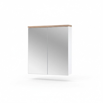 Spiegelschrank Badezimmerschrank Badspiegel 60x20x70 cm Schränke Bad Einrichtung