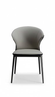 Stühle Esszimmer Stuhl Luxus Metall mit Leder Stühle Stil Modern Lehnstuhl