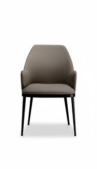 Stühle Esszimmerstuhl Modern Esszimmerstuhl Polsterstuhl Design Möbel