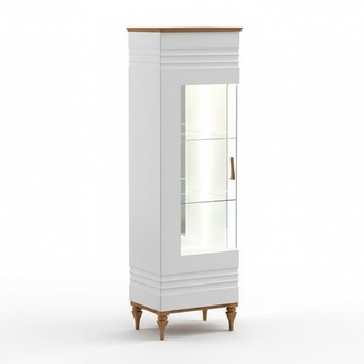 Vitrine Glasvitrine Glasschrank Vitrinenschrank Objektschrank Regalvitrine