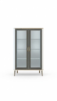 Vitrine Regal Glas Klassische Glasvitrinen für Wohnzimmer Rechteckig Lux Neu