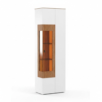 Vitrinenschrank Vitrine Schrankvitrine Glasdisplay Objektschrank