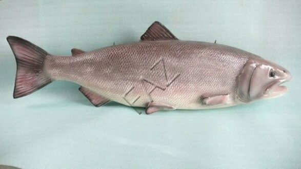 Design Fisch Figur Statue Skulptur Figuren Skulpturen Dekoration Deko Neu
