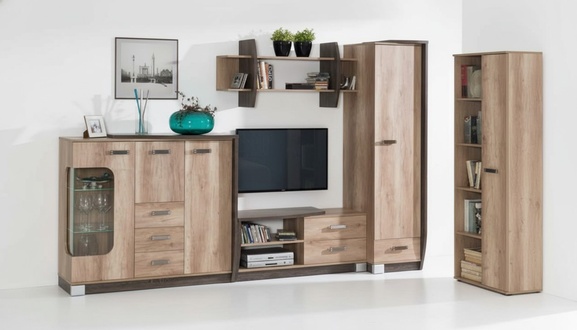 Wohnwand Wohnwände Set Kommode Schrank TV Ständer Regal Wohnzimmer