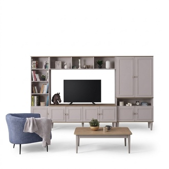 Wohnwand Wohnzimmerwand TV Ständer Holz RTV Lowboard Grau Regale Set