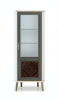 Wohnzimmer Vitrine Klassische Glasvitrinen für Rechteckig Luxuriöse Modern Neu