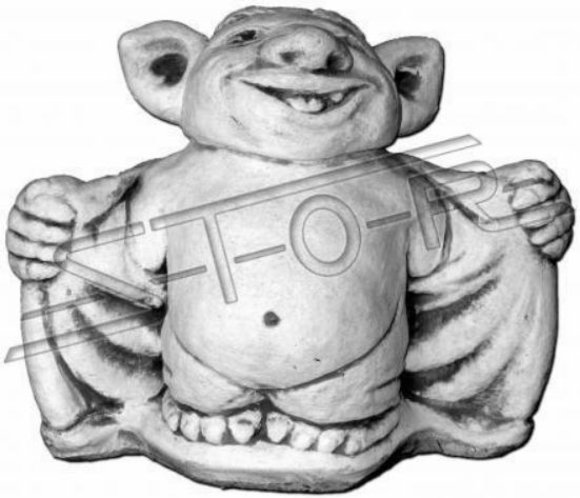 Artikel Bild