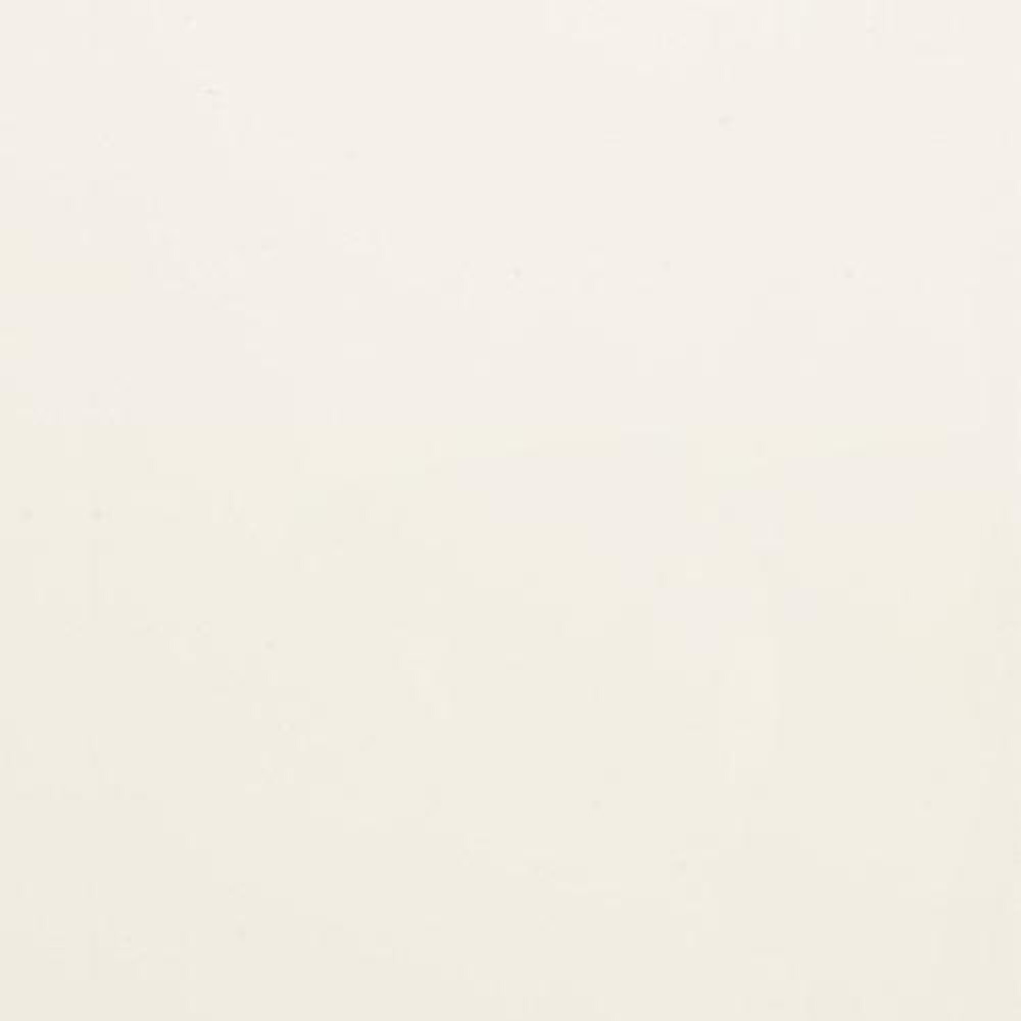 Artikel Bild