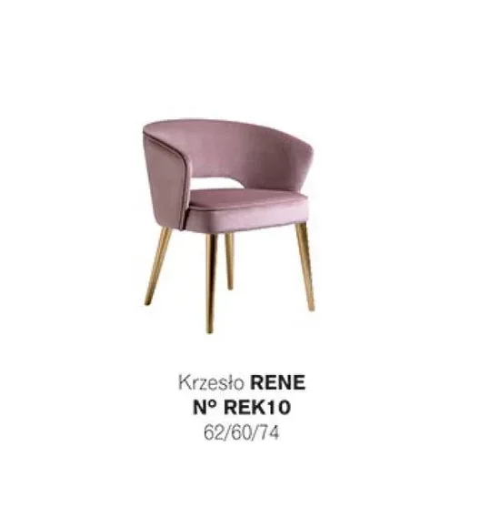 Artikel Bild