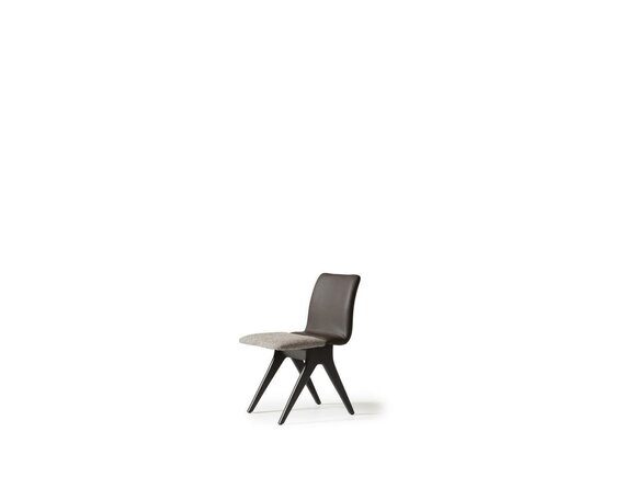 Artikel Bild