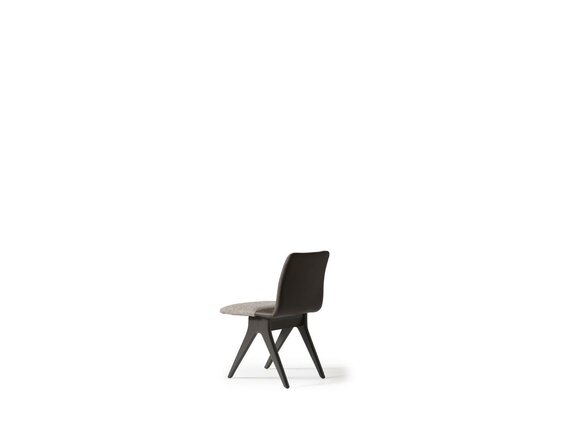 Artikel Bild