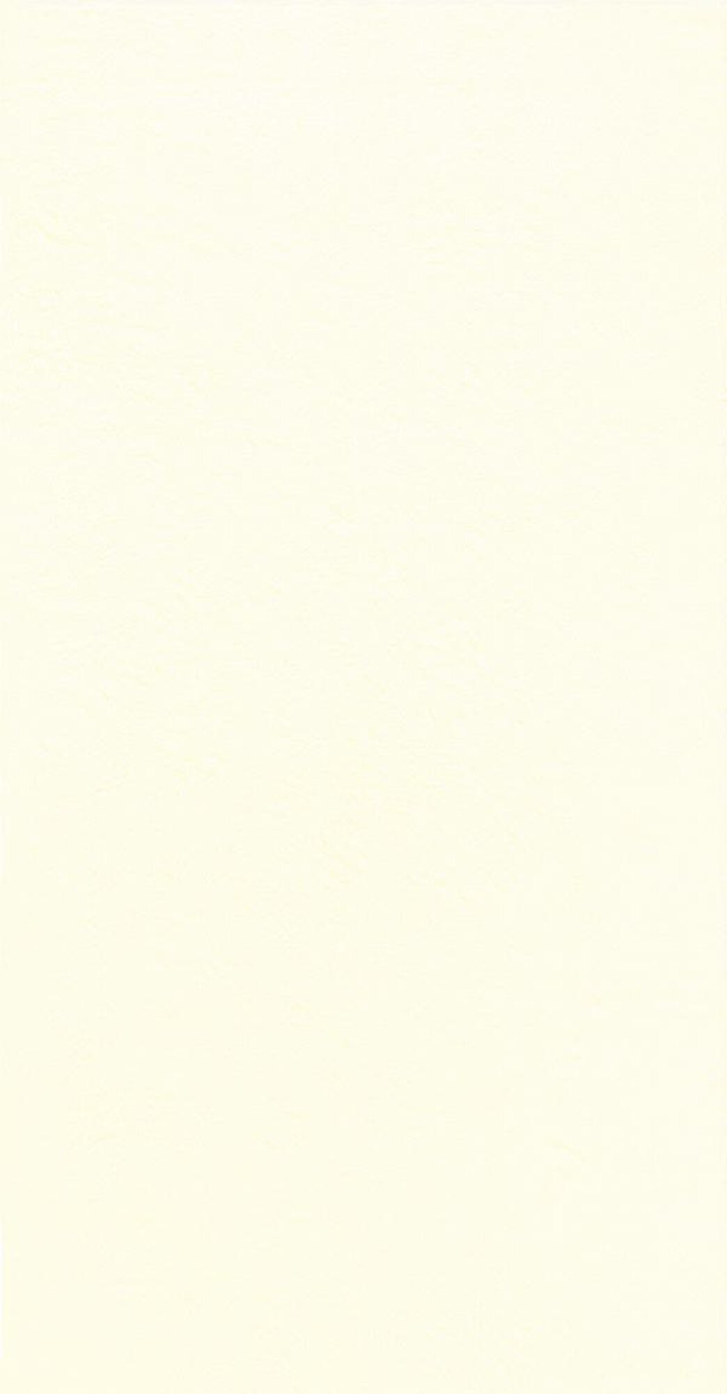 Artikel Bild